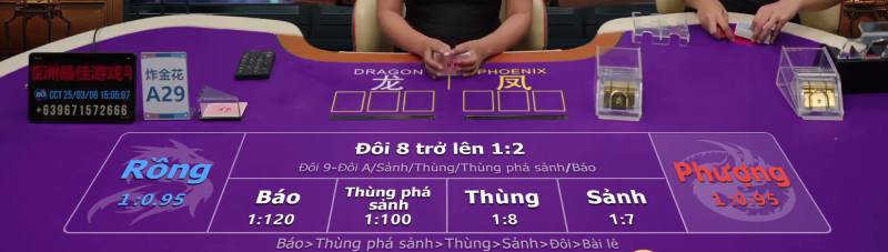 Trác Kim Hoa Là Gì? Hướng Dẫn Mẹo Thắng Lớn 4 Các cửa cược trong Trác Kim Hoa phổ biến